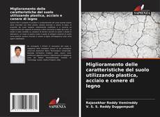 Обложка Miglioramento delle caratteristiche del suolo utilizzando plastica, acciaio e cenere di legno