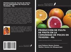 Couverture de PRODUCCIÓN DE PULPA DE FRUTA EN LA COMUNIDAD DE POÇOS EN TEIXEIRA - PB: