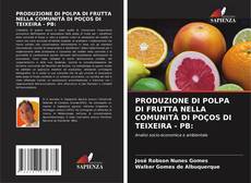 Bookcover of PRODUZIONE DI POLPA DI FRUTTA NELLA COMUNITÀ DI POÇOS DI TEIXEIRA - PB: