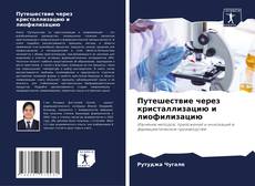 Capa do livro de Путешествие через кристаллизацию и лиофилизацию 