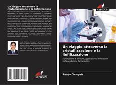 Bookcover of Un viaggio attraverso la cristallizzazione e la liofilizzazione