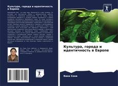 Capa do livro de Культура, города и идентичность в Европе 