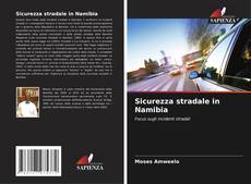 Обложка Sicurezza stradale in Namibia