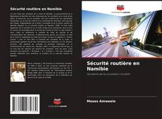 Buchcover von Sécurité routière en Namibie