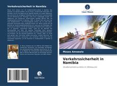 Buchcover von Verkehrssicherheit in Namibia