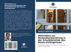 Buchcover von Aktivitäten zur Bestandsentwicklung in der Schulbibliothek des Mzuzu-Gefängnisses