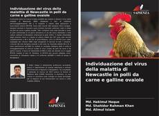 Обложка Individuazione del virus della malattia di Newcastle in polli da carne e galline ovaiole