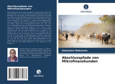 Buchcover von Abschlusspfade von Mikrofinanzkunden