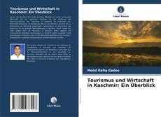 Buchcover von Tourismus und Wirtschaft in Kaschmir: Ein Überblick