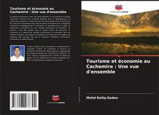 Buchcover von Tourisme et économie au Cachemire : Une vue d'ensemble