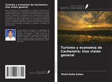 Couverture de Turismo y economía de Cachemira: Una visión general