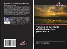 Turismo ed economia del Kashmir: Una panoramica kitap kapağı