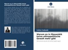 Buchcover von Warum es in Mosambik keine ethnopolitische Gewalt mehr gibt