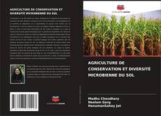 Couverture de AGRICULTURE DE CONSERVATION ET DIVERSITÉ MICROBIENNE DU SOL