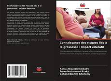 Capa do livro de Connaissance des risques liés à la grossesse : Impact éducatif 