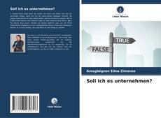 Buchcover von Soll ich es unternehmen?