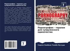 Порнография - терапия для супружеского одиночества的封面