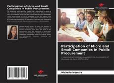 Participation of Micro and Small Companies in Public Procurement的封面