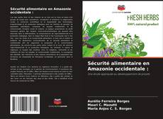 Borítókép a  Sécurité alimentaire en Amazonie occidentale : - hoz