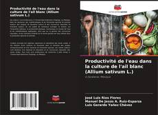 Portada del libro de Productivité de l'eau dans la culture de l'ail blanc (Allium sativum L.)