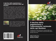 Couverture de Il declino della popolazione e l'allevamento razionale delle api Bombus