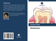 Buchcover von Zementum