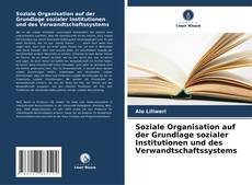 Buchcover von Soziale Organisation auf der Grundlage sozialer Institutionen und des Verwandtschaftssystems