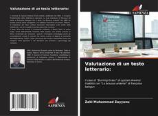 Bookcover of Valutazione di un testo letterario: