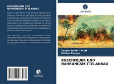 Buchcover von BUSCHFEUER UND NAHRUNGSMITTELANBAU