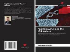 Buchcover von Papillomavirus and the p53 protein