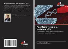 Couverture de Papillomavirus e la proteina p53