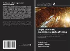 Portada del libro de Golpe de calor; experiencia norteafricana