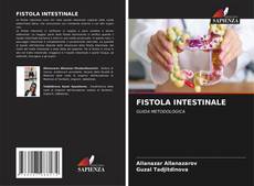 Couverture de FISTOLA INTESTINALE