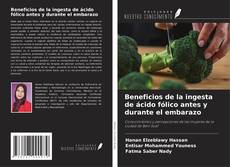 Portada del libro de Beneficios de la ingesta de ácido fólico antes y durante el embarazo