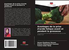 Capa do livro de Avantages de la prise d'acide folique avant et pendant la grossesse 