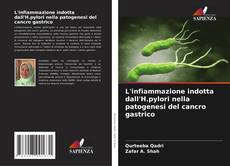 Borítókép a  L'infiammazione indotta dall'H.pylori nella patogenesi del cancro gastrico - hoz