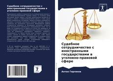 Portada del libro de Судебное сотрудничество с иностранными государствами в уголовно-правовой сфере
