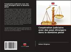 Capa do livro de Coopération judiciaire avec des pays étrangers dans le domaine pénal 