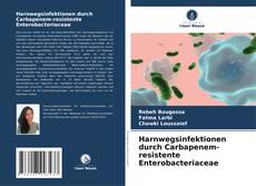 Buchcover von Harnwegsinfektionen durch Carbapenem-resistente Enterobacteriaceae