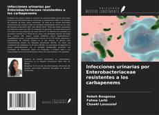 Portada del libro de Infecciones urinarias por Enterobacteriaceae resistentes a los carbapenems