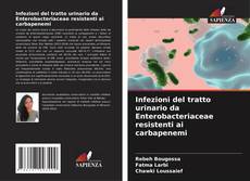 Обложка Infezioni del tratto urinario da Enterobacteriaceae resistenti ai carbapenemi