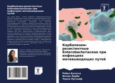 Обложка Карбапенем-резистентные Enterobacteriaceae при инфекциях мочевыводящих путей