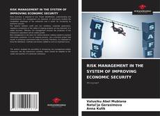 Buchcover von RISK MANAGEMENT IN THE SYSTEM OF IMPROVING ECONOMIC SECURITY