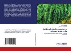 Capa do livro de Biodiesel production from cultured seaweeds 