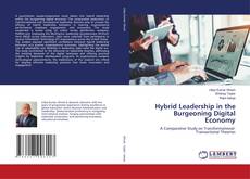 Capa do livro de Hybrid Leadership in the Burgeoning Digital Economy 