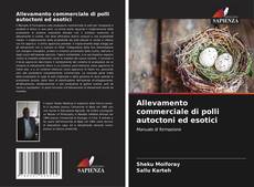 Couverture de Allevamento commerciale di polli autoctoni ed esotici