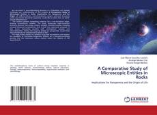 Bookcover of A Comparative Study of Microscopic Entities in Rocks