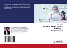 Capa do livro de Curcumin Based Mutual Prodrugs 