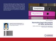 Bookcover of Normative legal documents of labor protection