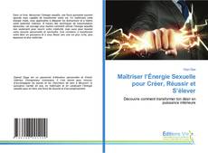 Copertina di Maîtriser l’Énergie Sexuelle pour Créer, Réussir et S’élever